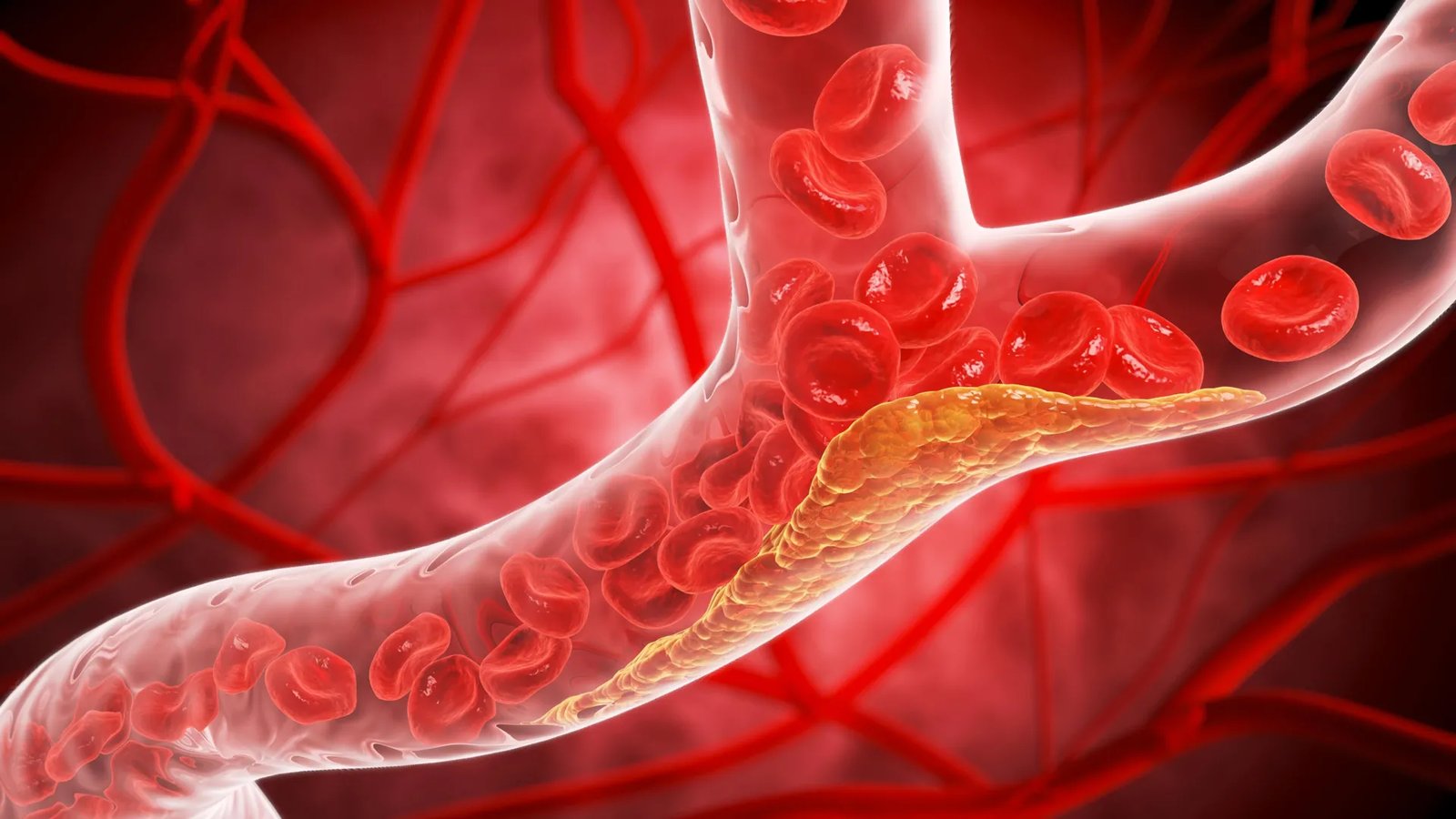Photo from sciencedaily.com
